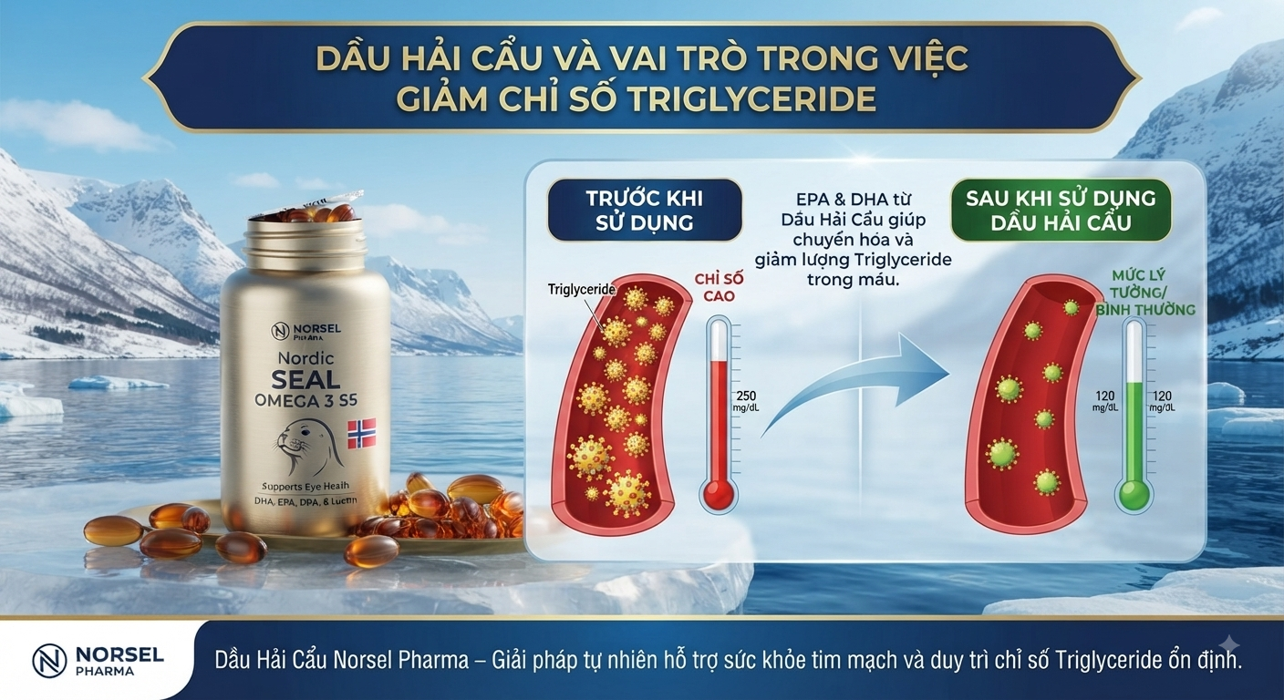 dau-hai-cau-lam-giam-mo-mau